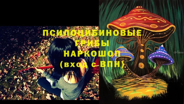 синтетический гашиш Приозерск